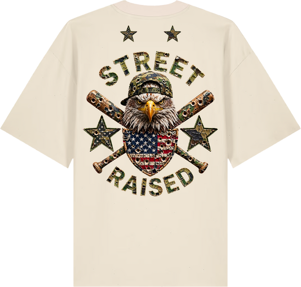 STREET RAIDES CS - spate