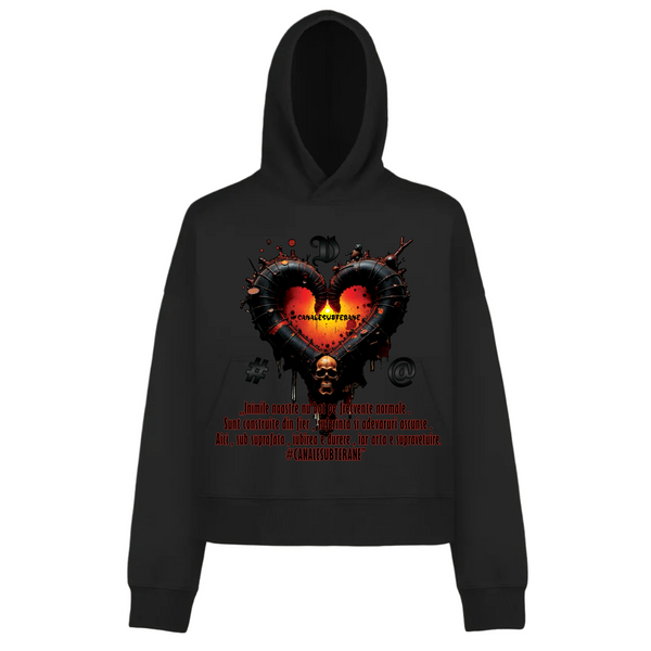 CS Heart 2