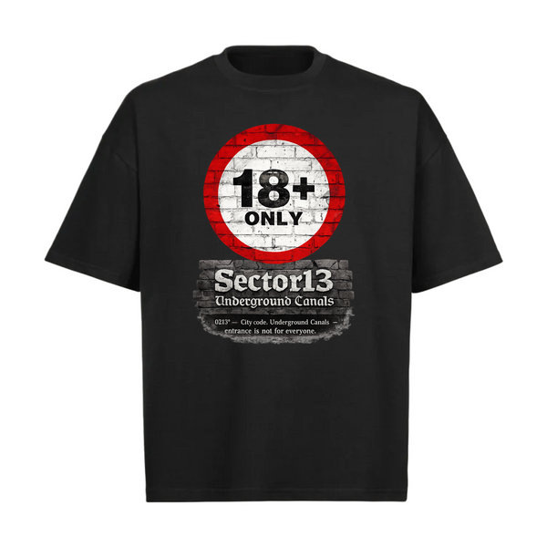 CS Sector 13